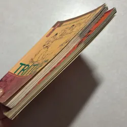 Câu chuyện Trung Hoa xưa: Trí Tuệ/36 Kế (2 cuốn) 760196