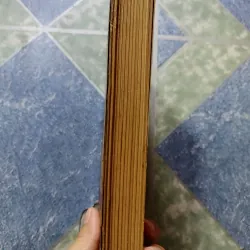 Tiểu thuyết hiện đại - Giáo sư đại học Columbia 998426