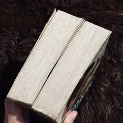 Cuốn theo chiều gió (Dương Tường dịch) 713120