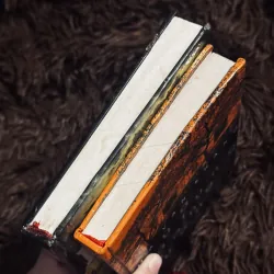 Combo 2 cuốn văn học Việt Nam (bìa cứng) 995033