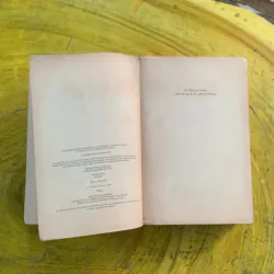 WOLFSKIN - JULIET MARILLIER 991219