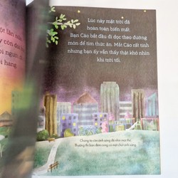 Câu chuyện Khoa học - Bạn Cáo trong Đêm - A Science Storybook About Light And Dark 142729