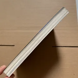 Chân đi không mỏi - Đinh Hằng 957053