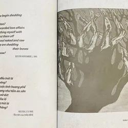 Thơ Dương Tường 592784