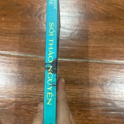 SÓI THẢO NGUYÊN - HERMANN HESSE (k1) 538046
