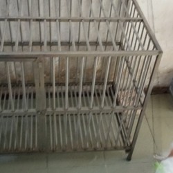 chuồng chó inox đặt 50×80 97215