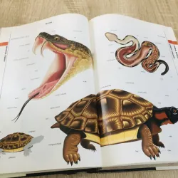 THE MACMILLAN VISUAL DICTIONARY 968636