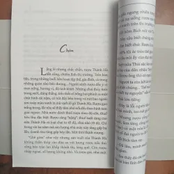 Cây bàng lá đỏ 996479