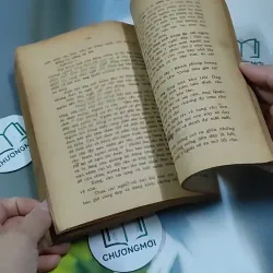 Tâm Hồn Cao Thượng (1989) 713894