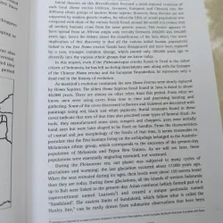 EARLY KINGDOMS OF THE INDONESIA ARCHIPELAGO AND THE MALAY PENINSULA 557214