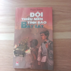 Đội thiếu niên tình báo Bát sắt