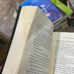 Ác mộng ven hồ từng bị ẩm 606450