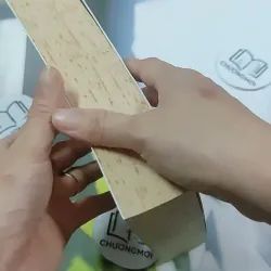 Gió Mang Ký Ức Thổi Thành Những Cánh Hoa - Diệp Lạc Vô Tâm 744749