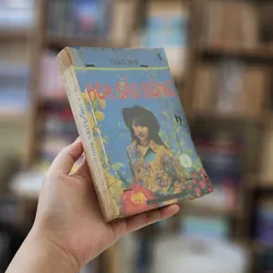 HOA SẦU ĐÔNG, tiểu thuyết lãng mạn Việt Nam của tác giả Thảo Nhi 703540