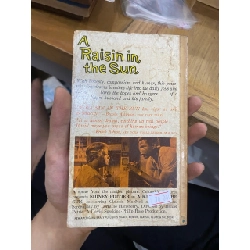 A Raisin in the Sun - Lorraine Hansberry 528009
