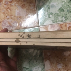 hỏi gì đáp nấp 3 tập 455711