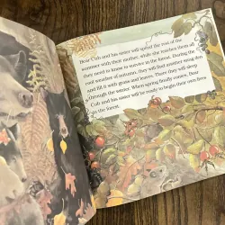 Black Bear Cub 974762