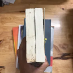 II Tiểu Thuyết: Búp Sen Xanh - Sơn Tùng - 2023 702642