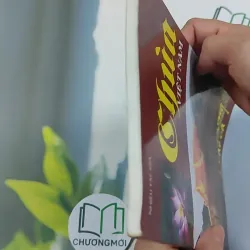 Chùa Việt Nam  776209