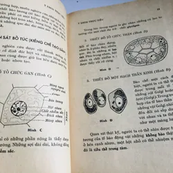 🌿 ẤP XE PHỔI (Bs. Lương Phán & Nguyễn Thị Lợi) 60 trang, NXB 1973 702001