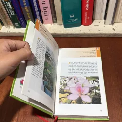 II Cây Cảnh: Từ Điển Tranh Về Các Loài Hoa - Lê Quang Long - 2006 755406