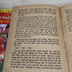 Mùa xuân chim én bay về 1009811