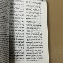 Từ điển Anh Việt 1010351