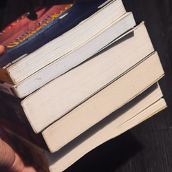 Lô 5c Umberto Eco 495389