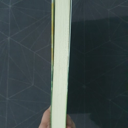 "Kinh niên lưu ảnh" - Như Thị Phi Nghênh 470406