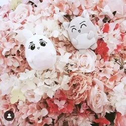 Doll 10cm/Keyring fansite EXO Sehun Suho 726743