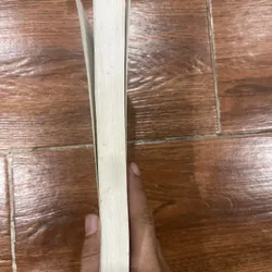 Vết sẹo và cái đầu hói - Võ Văn Trực (8) 589232