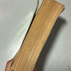 556 New essays and Writing (bài luận Tiếng Anh) 996683