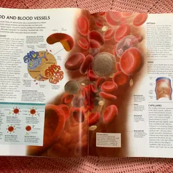 The Human Body Book: An Illustrated Guide to Its Structure, Function and Disorders. 646342