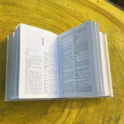 DICTIONNAIRE DESS SYNONYMES LES DICOS D’OR 735015