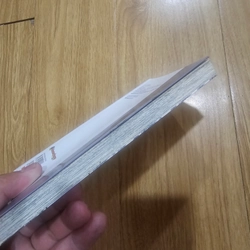 Tsubasa giấc mơ sân cỏ tập 28 454498