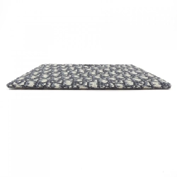 Túi DIOR - Hàng hiệu Authentic 905727