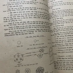 Vì khuẩn học - sách y khổ lớn, 150 trang  1009199