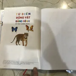 Từ điển động vật bằng hình  748516