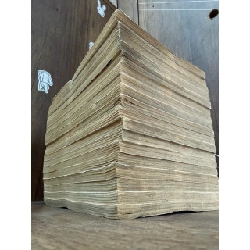 Bá tước tiểu thư - Chieko Hosokawa & Fumin 1021923