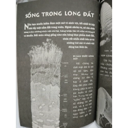 Vi Sinh Vật 549653