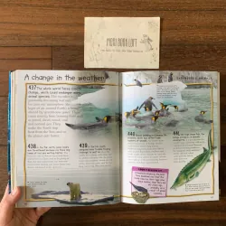 Sách ngoại văn Over 1000 Fantastic Animal Facts, Used, Bìa mềm, Siêu dày 578057