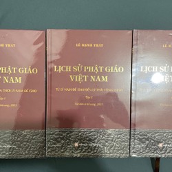 Lịch sử Phật giáo Việt Nam - Lê Mạnh Thát