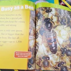 Sách Khoa học - National Geographic kids - Level 2 41 cuốn giấy bóng đẹp - tặng Audio 1000830