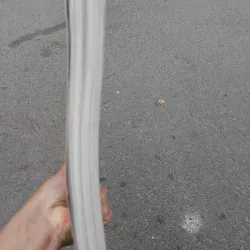 The Kingfisher enclopedia of everything  969956