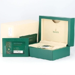 Đồng hồ Rolex Sky-Dweller 336934･3 SSxWG tự động - Hàng hiệu Authentic 882107