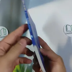 Bông Lục Bình - Mạnh Hà 798483