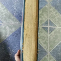 Hồ Quý Ly - Nguyễn Xuân Khánh 751479