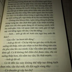 Hoa trong tuyết 994835