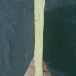 "Tình kiếp tam sinh" - Cửu Lộ Phi Hương 493144