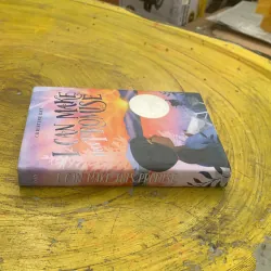 I CAN MAKE THIS PROMISE- CHRISTINE DAY  762284